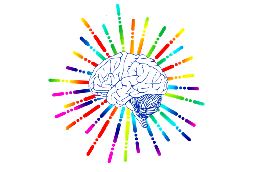 Colorful Brain Illustration PNG