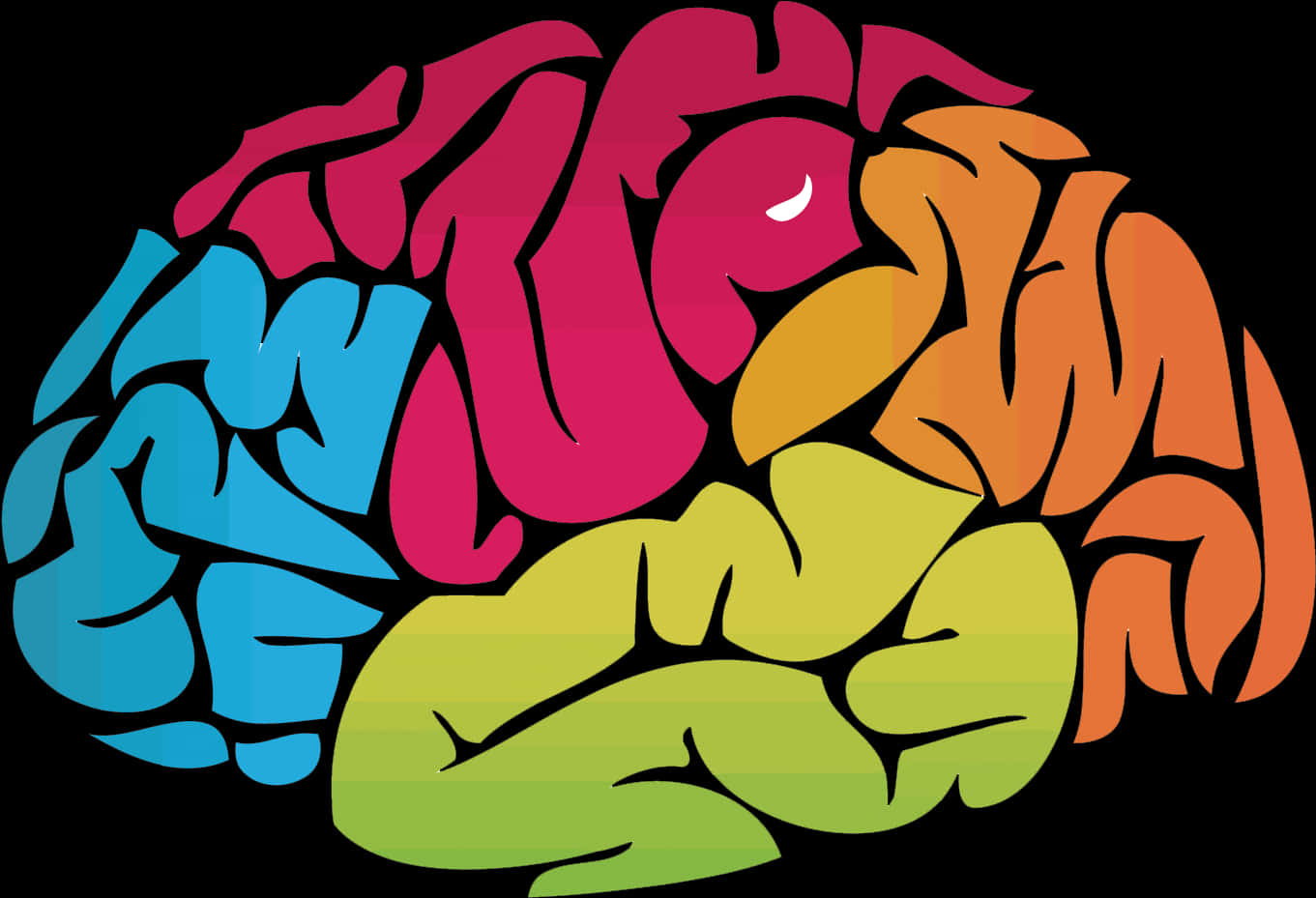 Colorful Brain Illustration PNG
