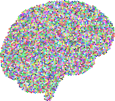 Colorful Brain Representation PNG
