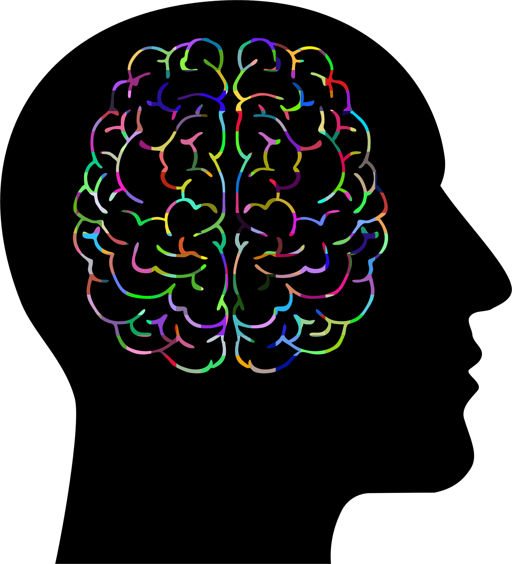 Colorful Brain Silhouette Clipart PNG
