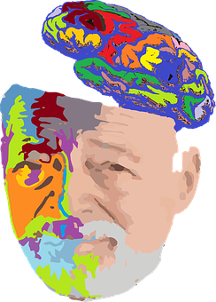 Colorful Brain Silhouette Portrait PNG