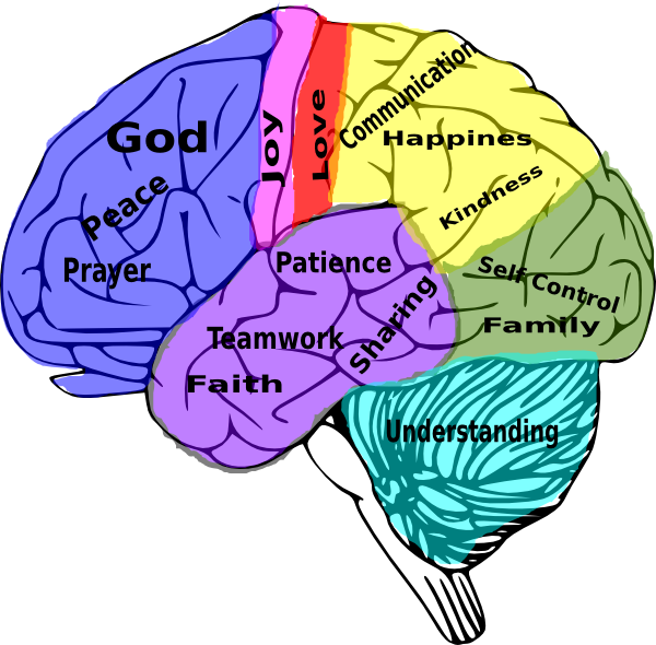 Colorful Brain Values Illustration PNG
