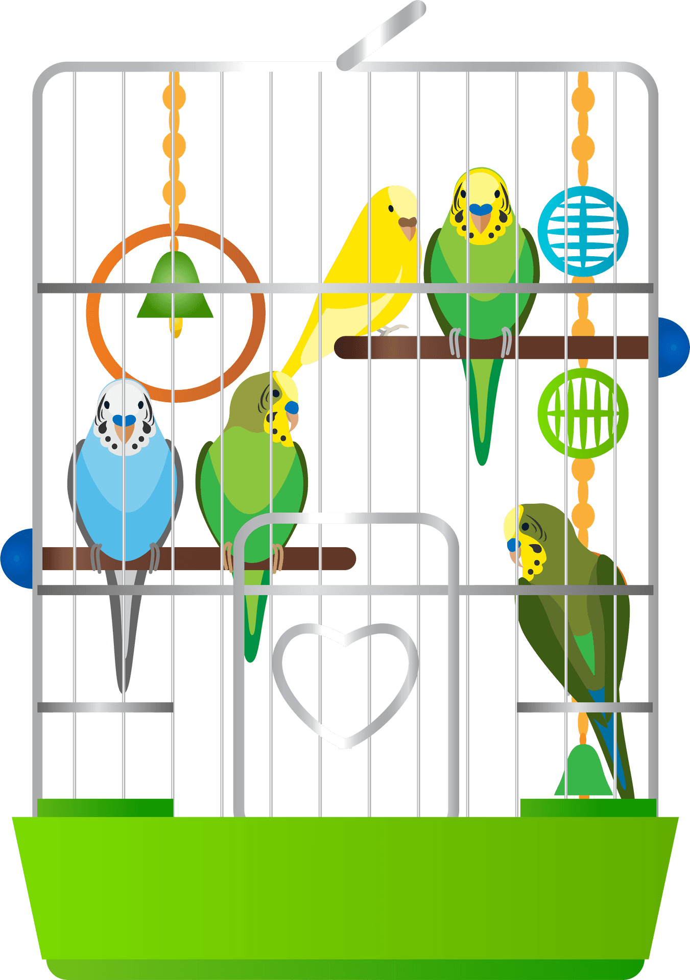 Colorful Budgerigarsin Cage PNG