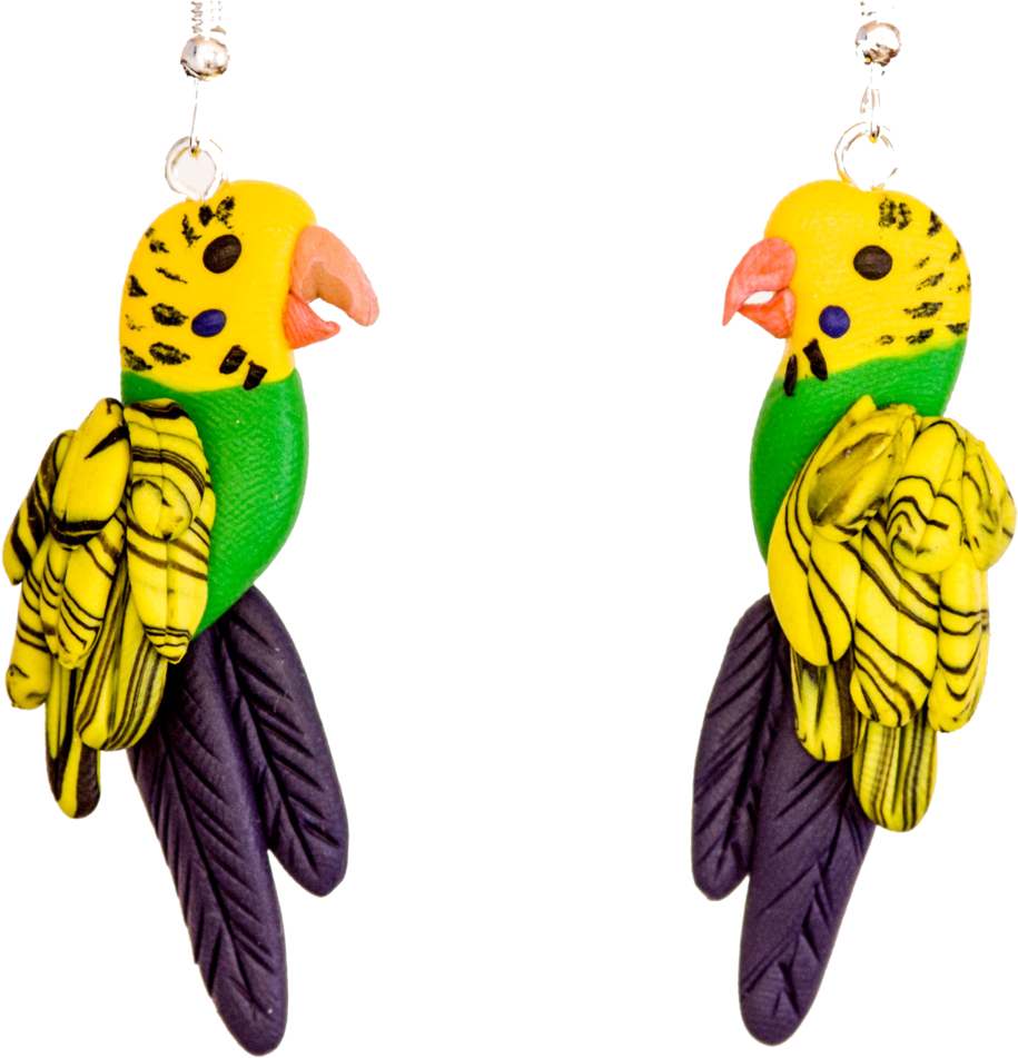 Colorful Budgie Earrings Transparent Background PNG