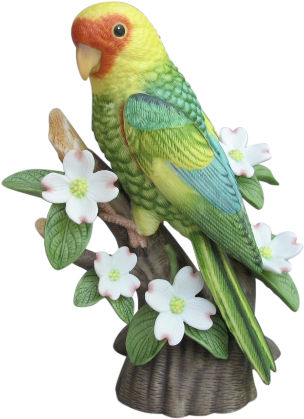 Download Colorful Budgie On Floral Perch.png 