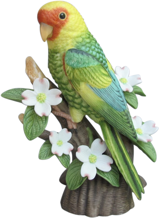 Colorful Budgie On Floral Perch.png PNG