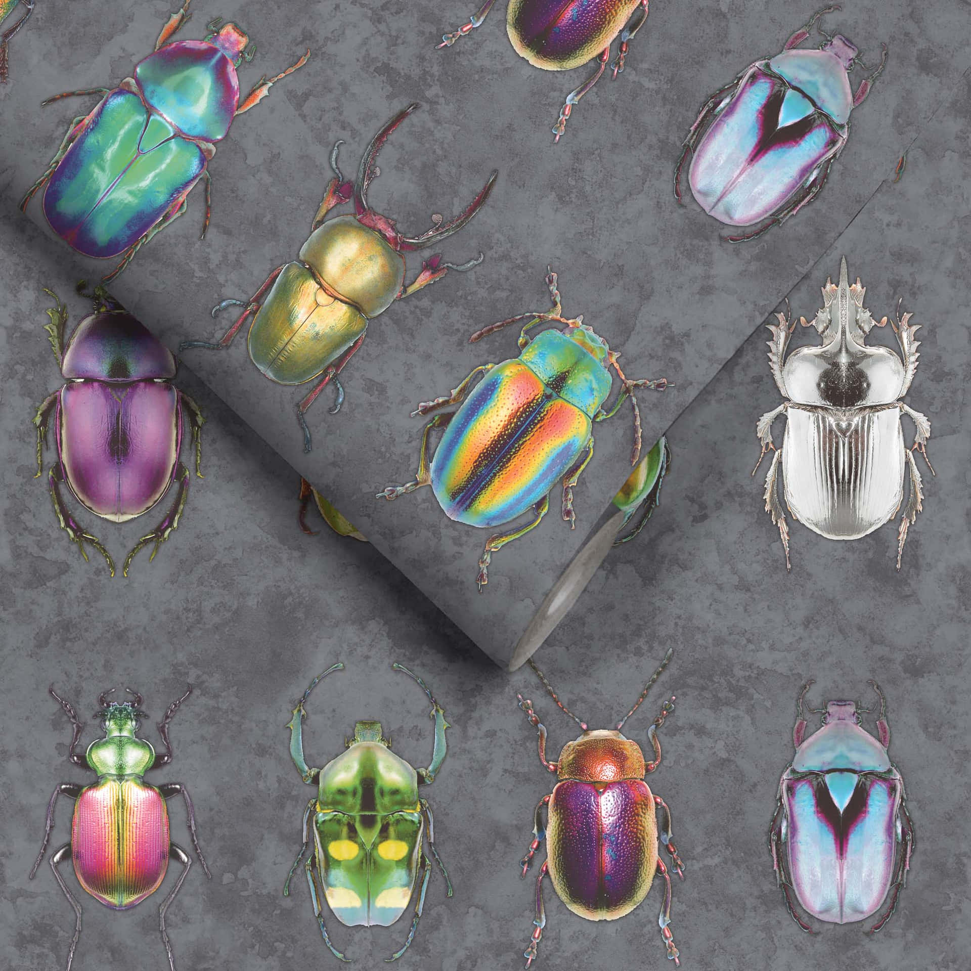 Decoraciónde Insectos En Una Pared Colorida Fondo de pantalla
