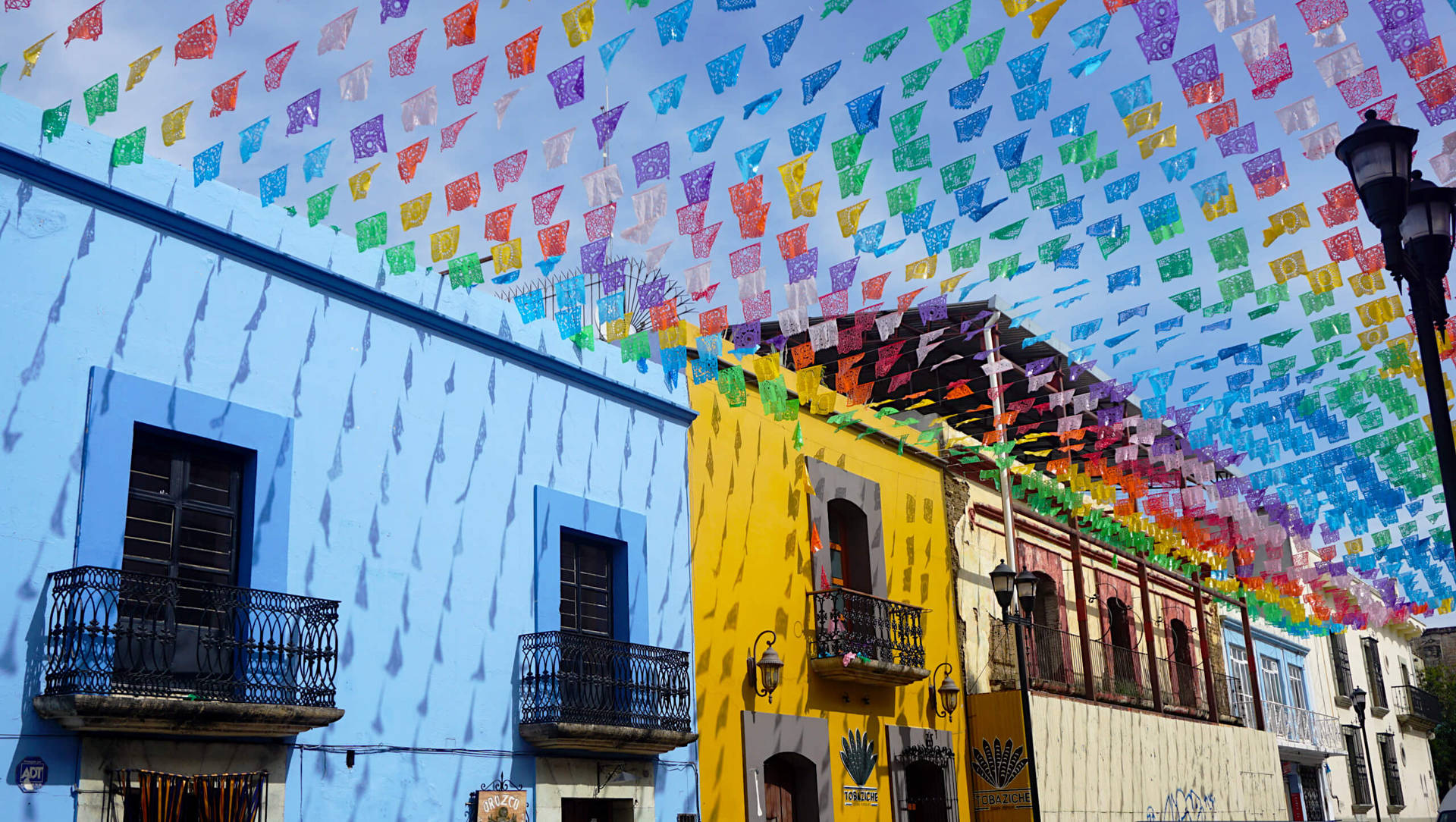Colorful Buntings And Houses In Oaxaca Picture