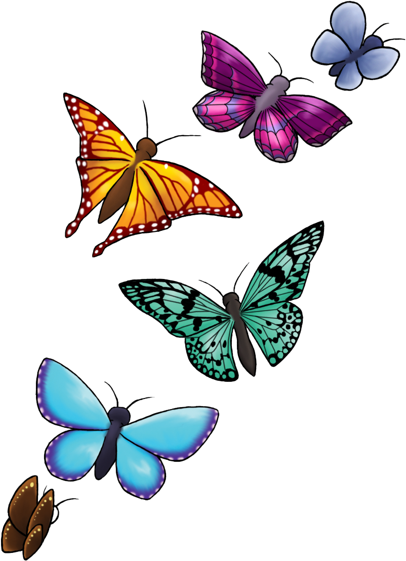 Colorful Butterflies Transparent Background PNG