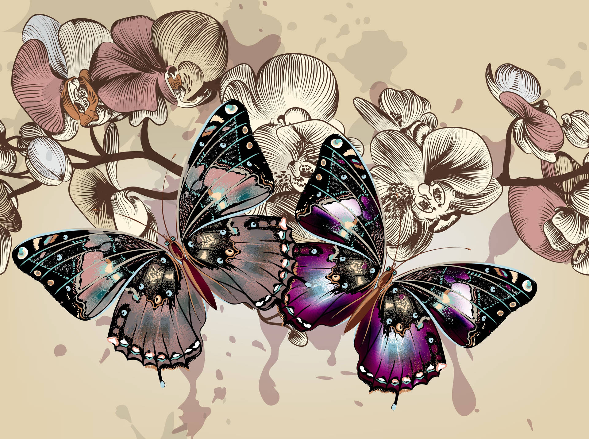 Colorful Butterflies' Wings