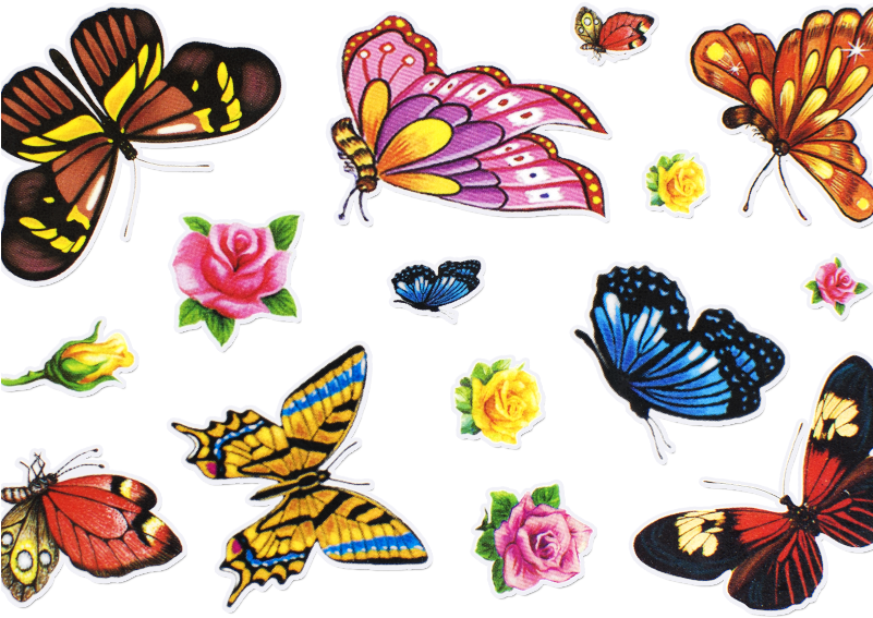 Colorful Butterfliesand Flowers Stickers PNG