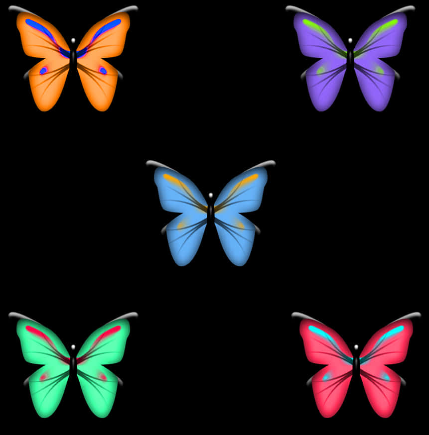 Colorful Butterfly Collection Transparent Background PNG