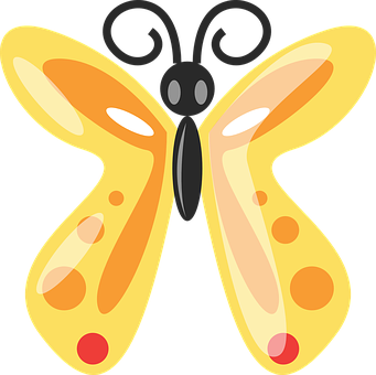 Colorful Butterfly Illustration PNG