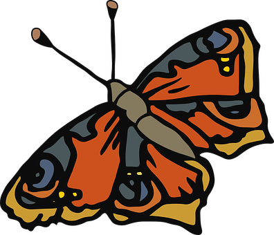 Colorful Butterfly Illustration PNG