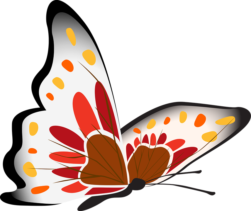 Colorful Butterfly Illustration PNG