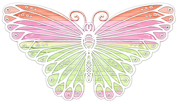 Colorful Butterfly Illustration PNG