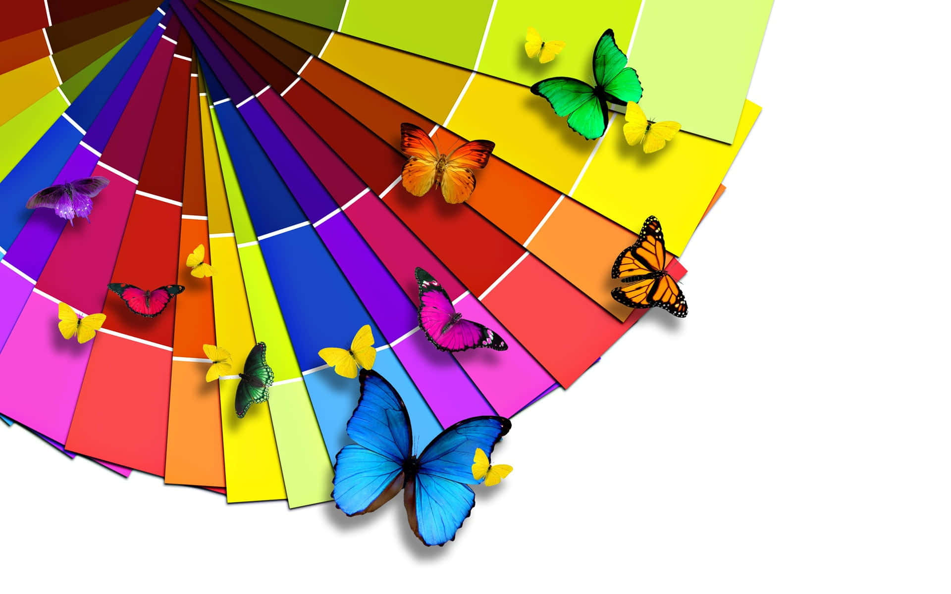 Et farverigt farvehjul med sommerfugle, der flyver omkring det.