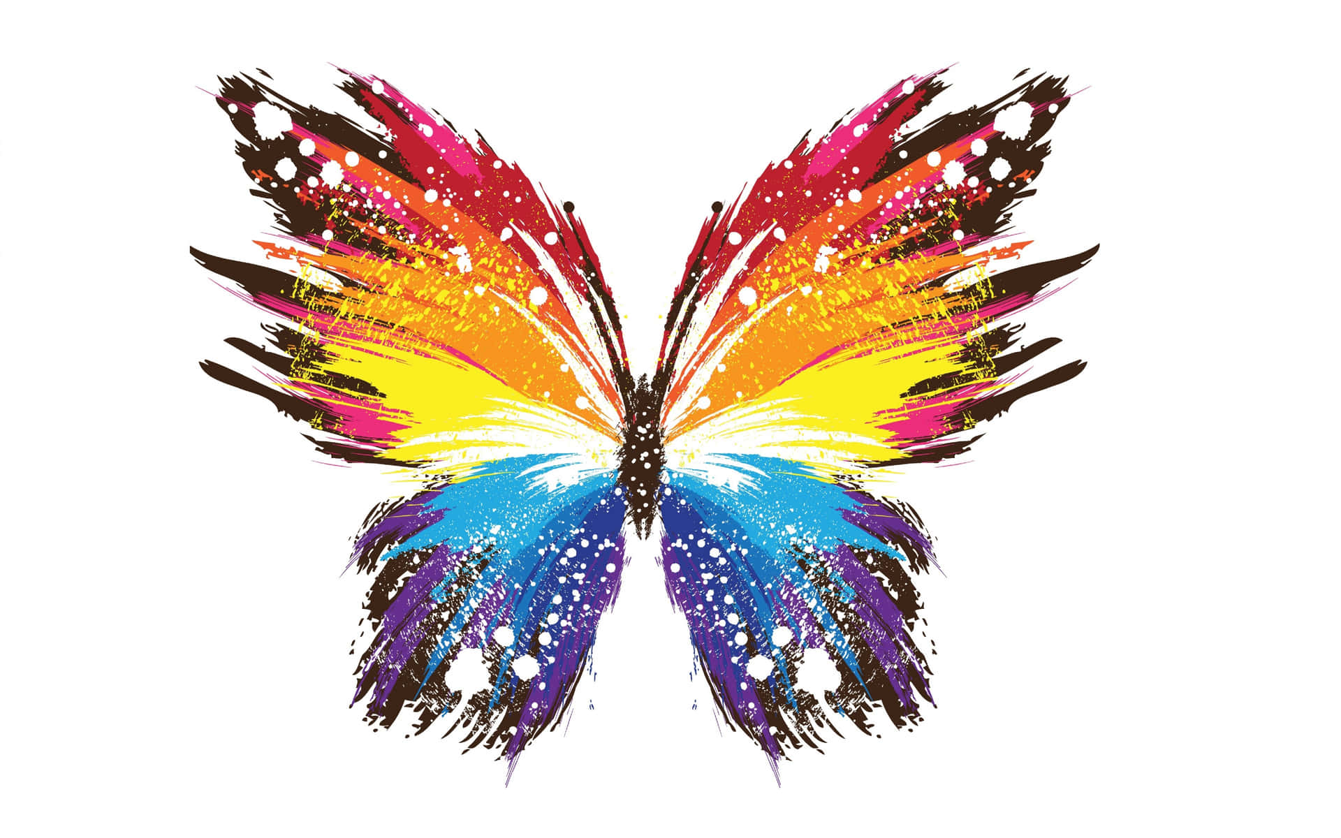 a colorful butterfly with paint on it