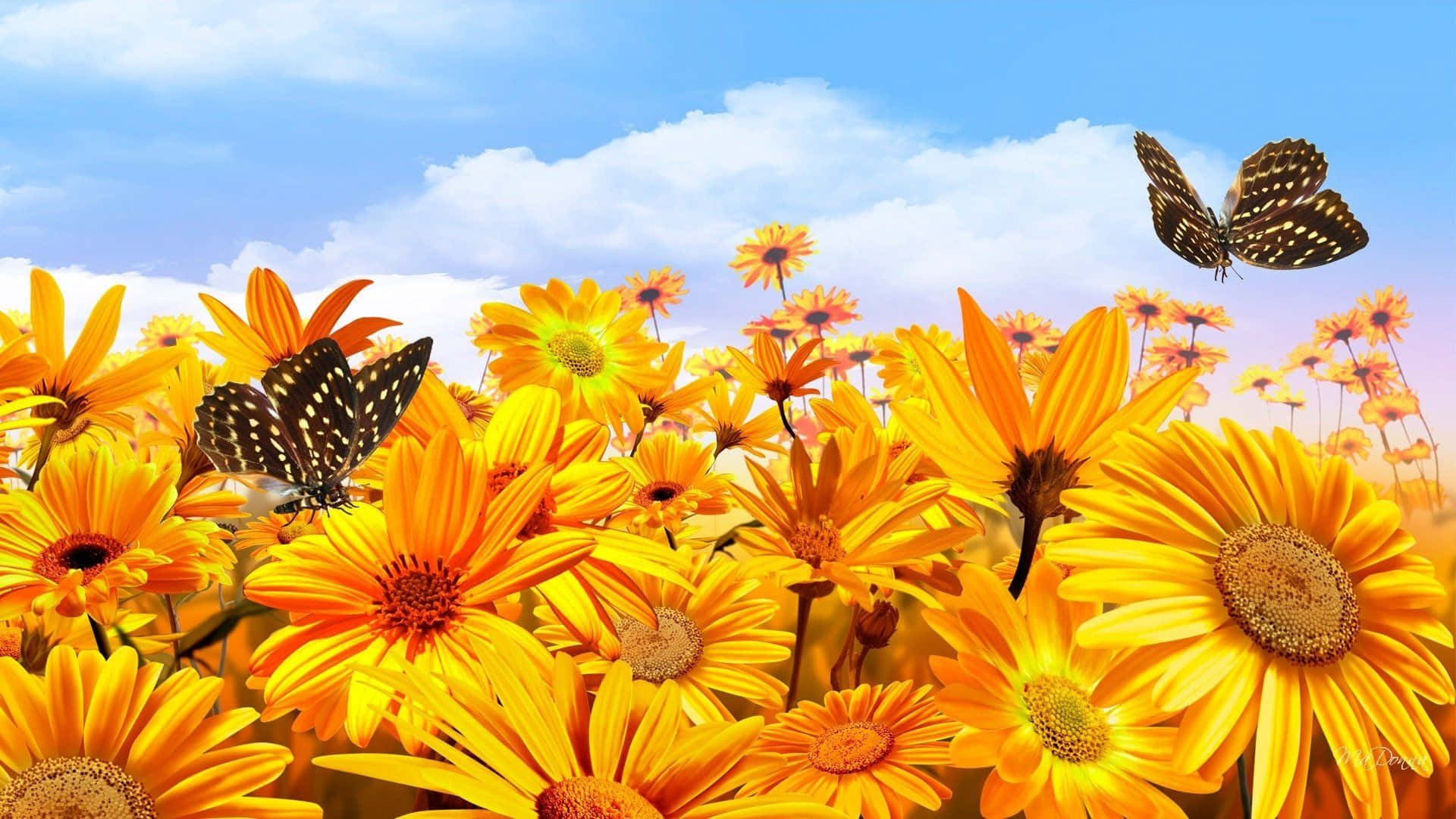 a field of yellow flowers with butterflies flying around