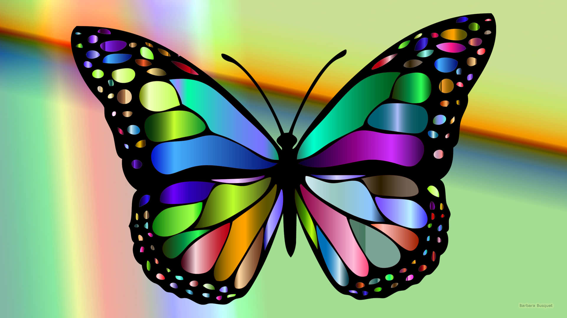 a colorful butterfly with rainbows on it