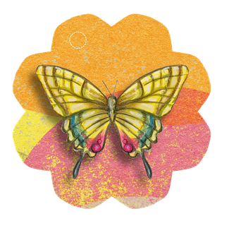 Colorful Butterflyon Flower Illustration PNG