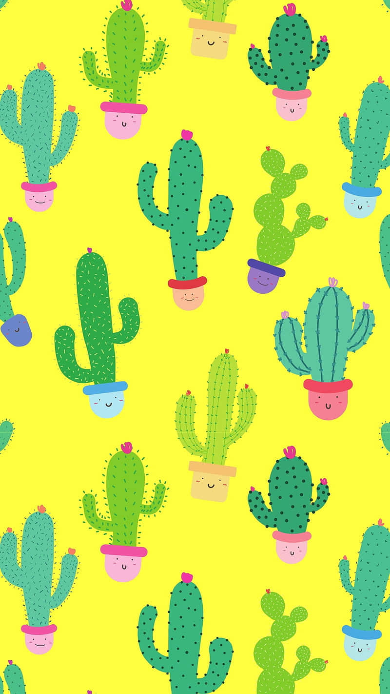 Colorful Cactus Cute Plant Wallpaper