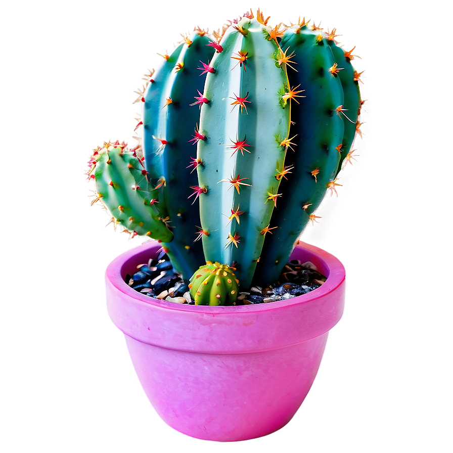 Colorful Cactus Png 10 PNG