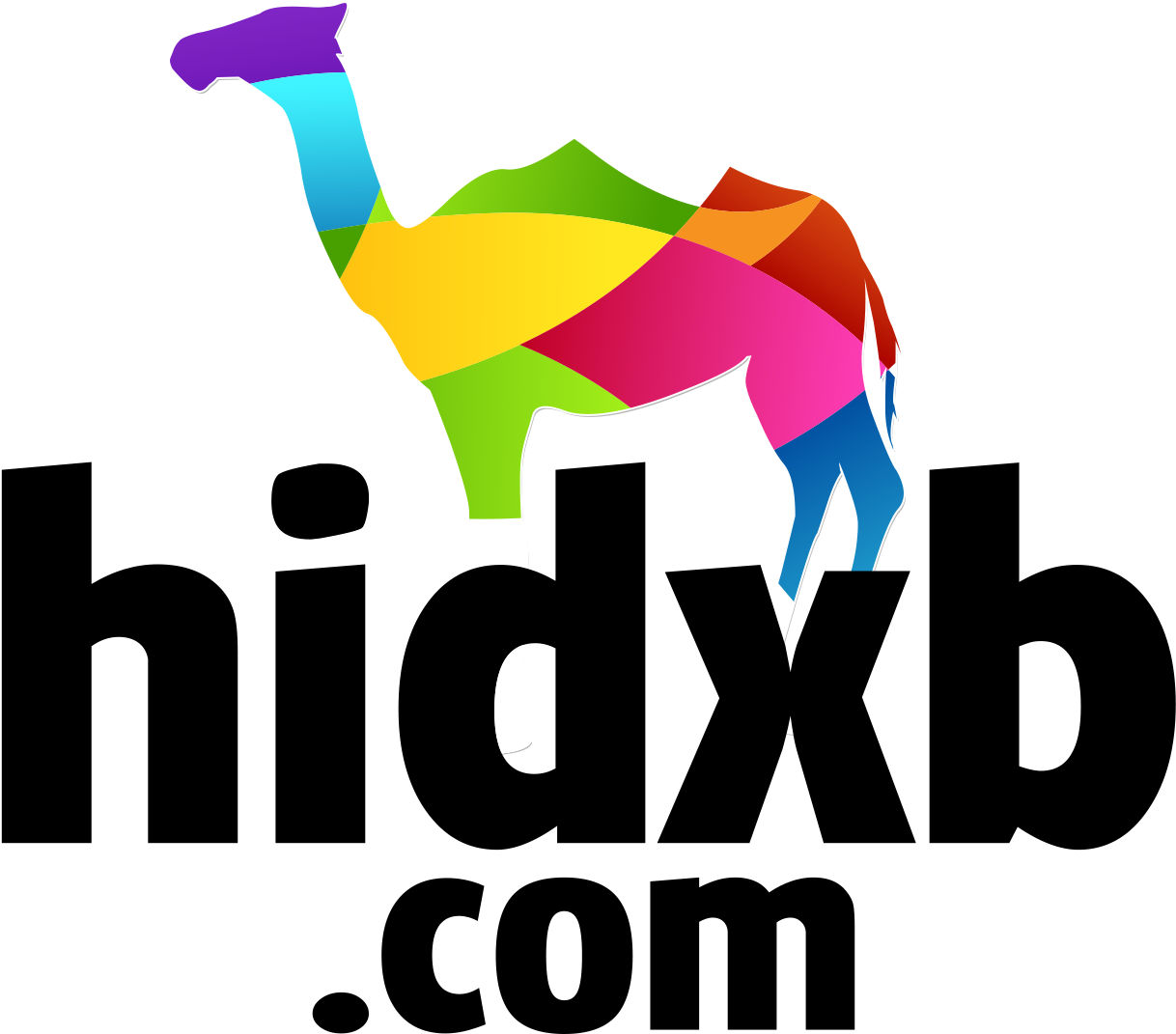 Colorful Camel Logo PNG