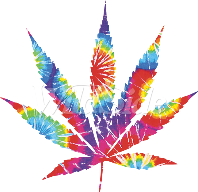 Colorful Cannabis Leaf Artwork PNG