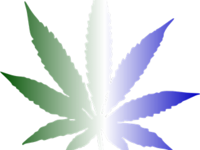 Colorful Cannabis Leaf Graphic PNG