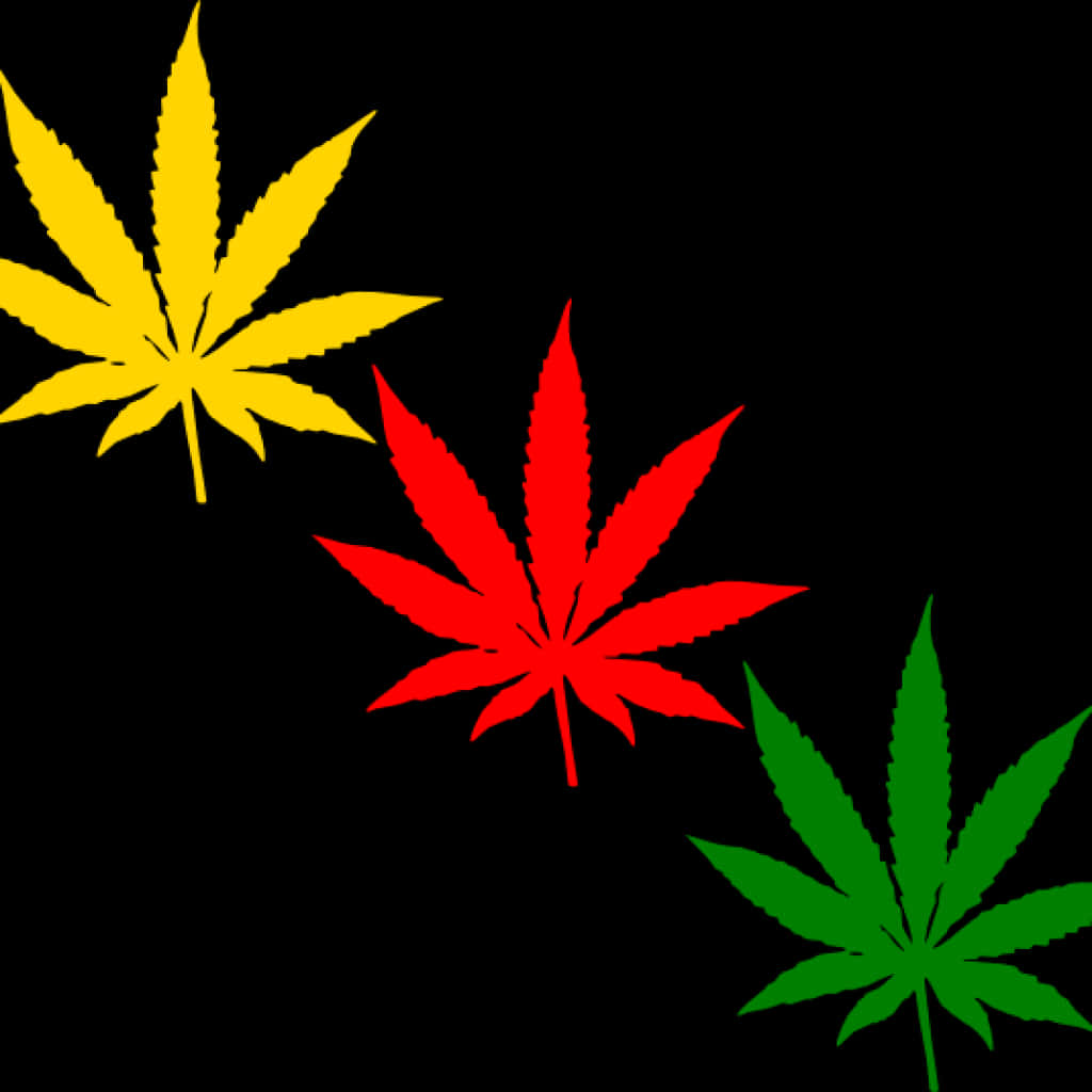 Colorful Cannabis Leaves Graphic PNG