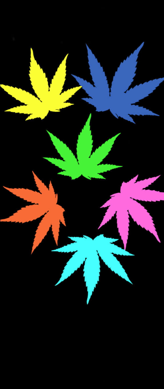 Colorful Cannabis Leaves Vector Art PNG