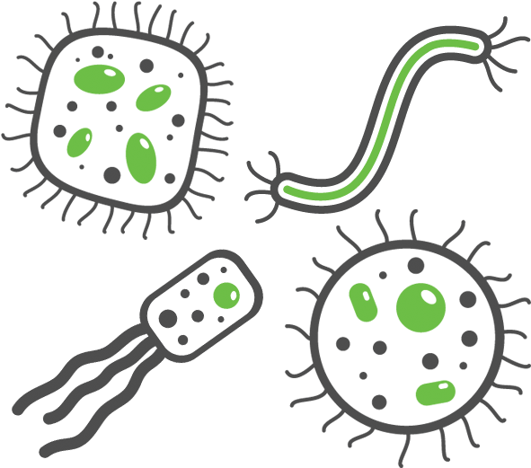 Colorful Cartoon Bacteria Illustration PNG