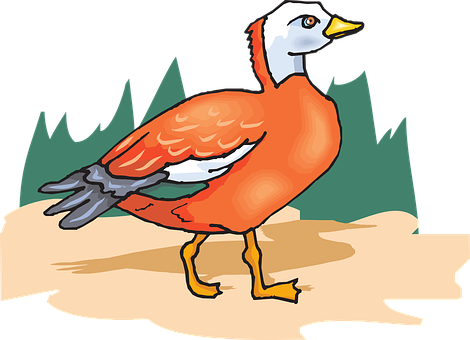 Colorful Cartoon Bird Illustration PNG