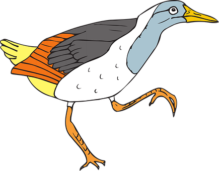Colorful Cartoon Bird Illustration PNG