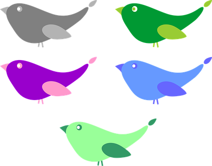 Colorful Cartoon Birds Vector Illustration PNG