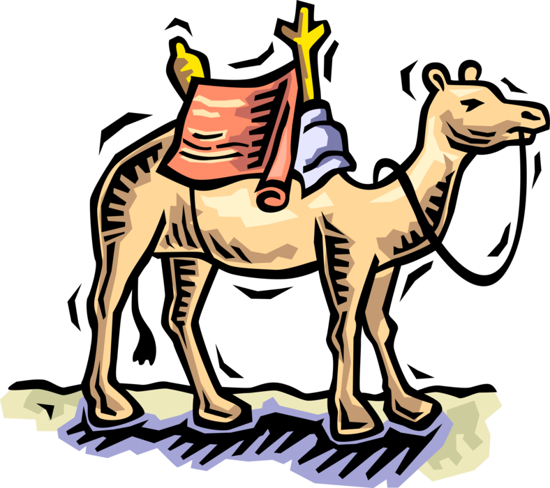 Colorful Cartoon Camel PNG