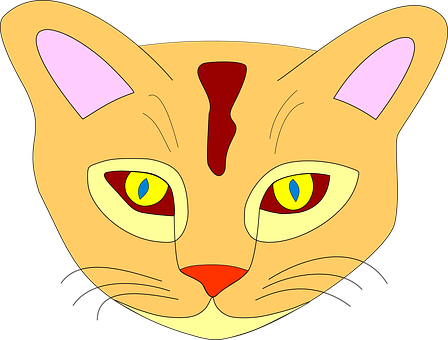 Colorful Cartoon Cat Face PNG