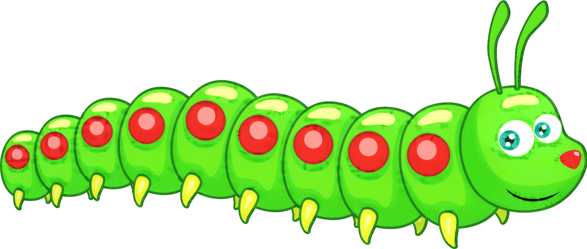 Colorful Cartoon Caterpillar PNG