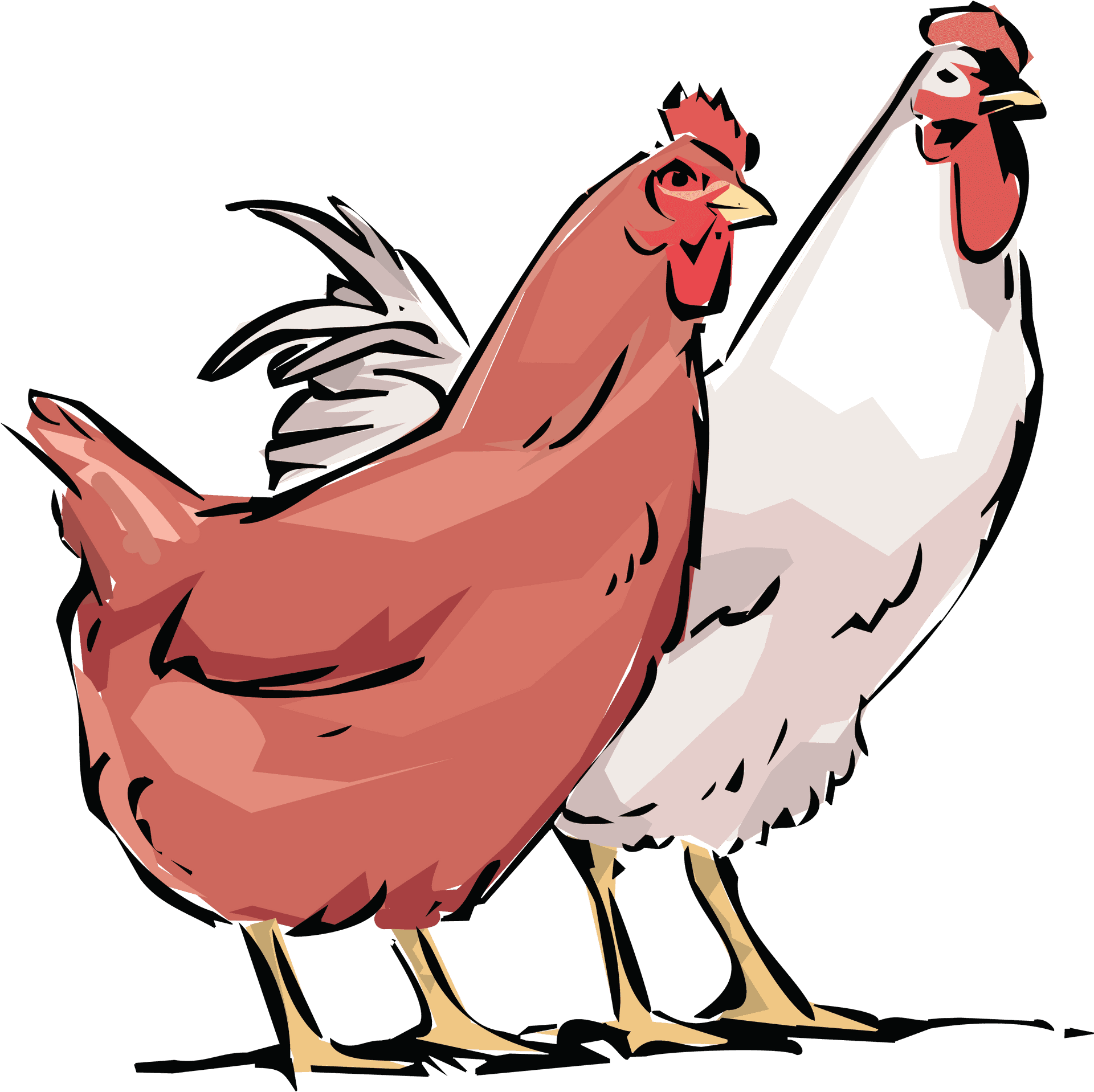 Colorful Cartoon Chickens PNG