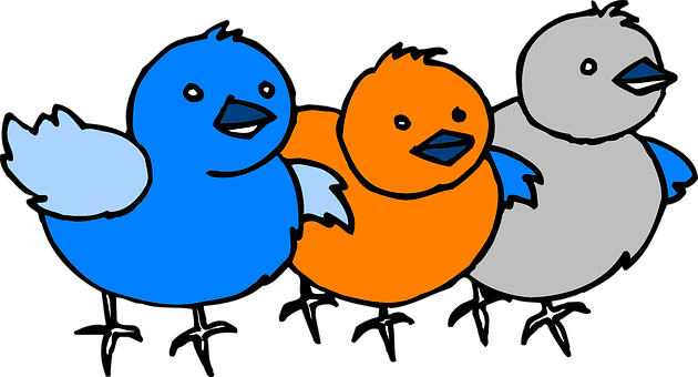 Colorful_ Cartoon_ Chicks PNG
