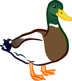 Colorful Cartoon Duck Illustration PNG
