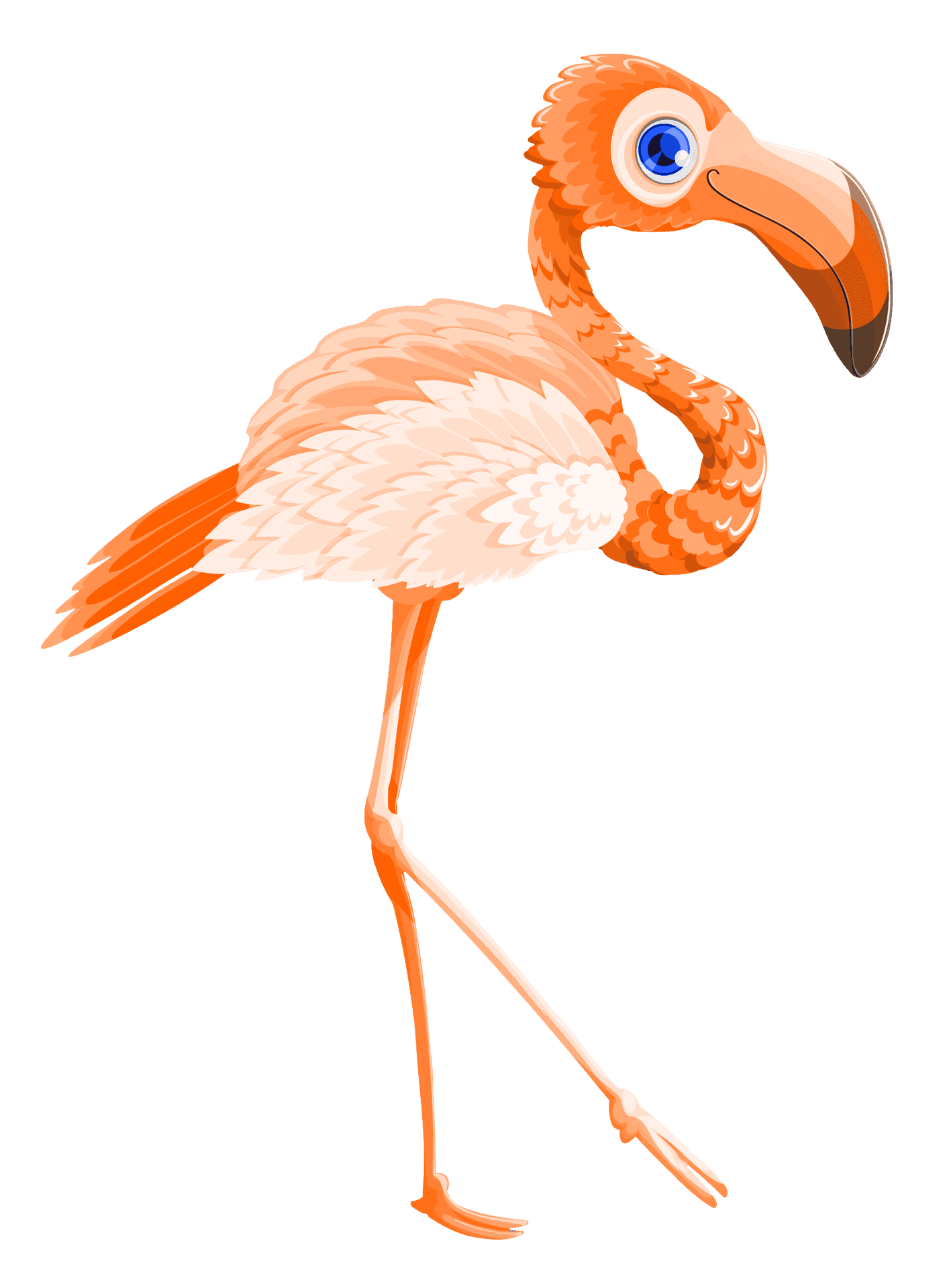 Colorful Cartoon Flamingo Standing PNG