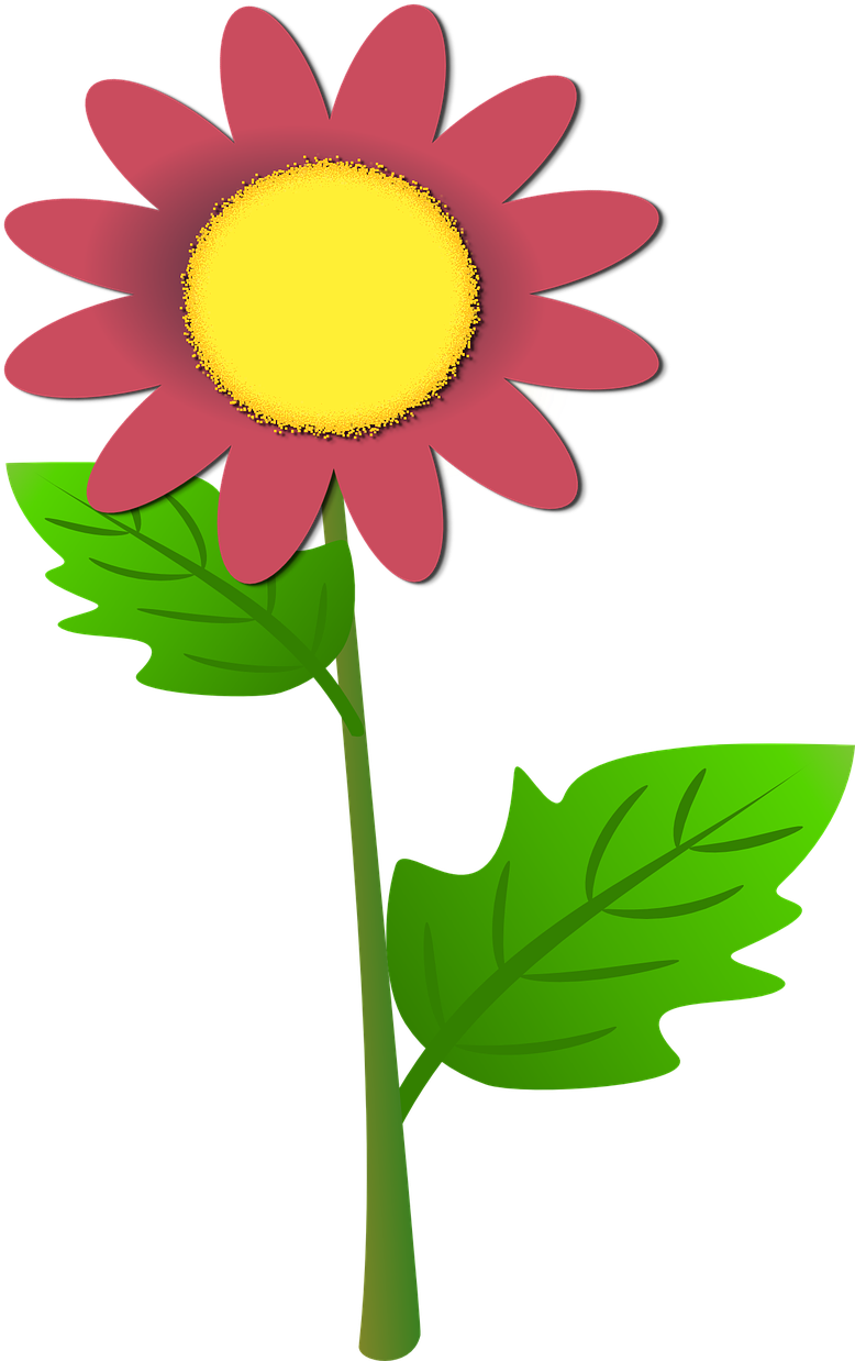 Colorful Cartoon Flower PNG