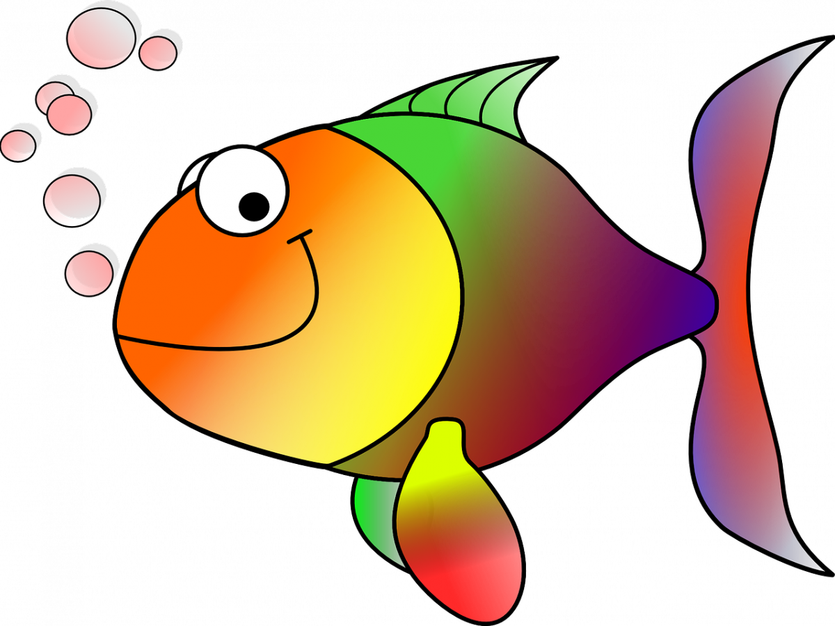 Colorful Cartoon Goldfish PNG