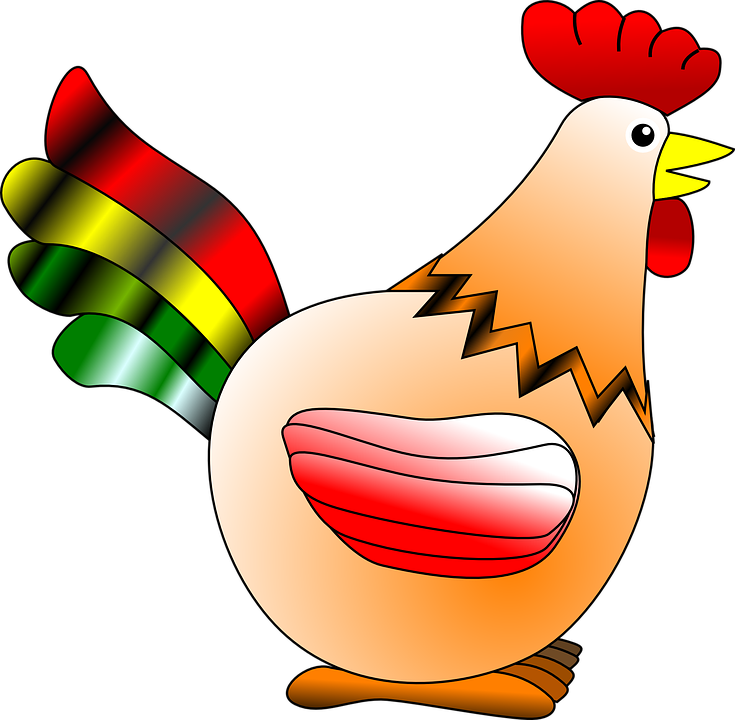 Colorful Cartoon Hen PNG