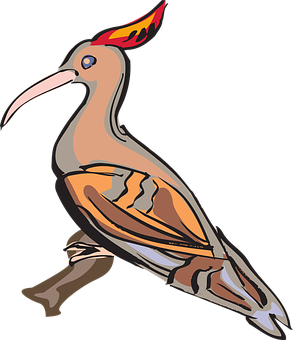 Colorful Cartoon Hoopoe Bird PNG