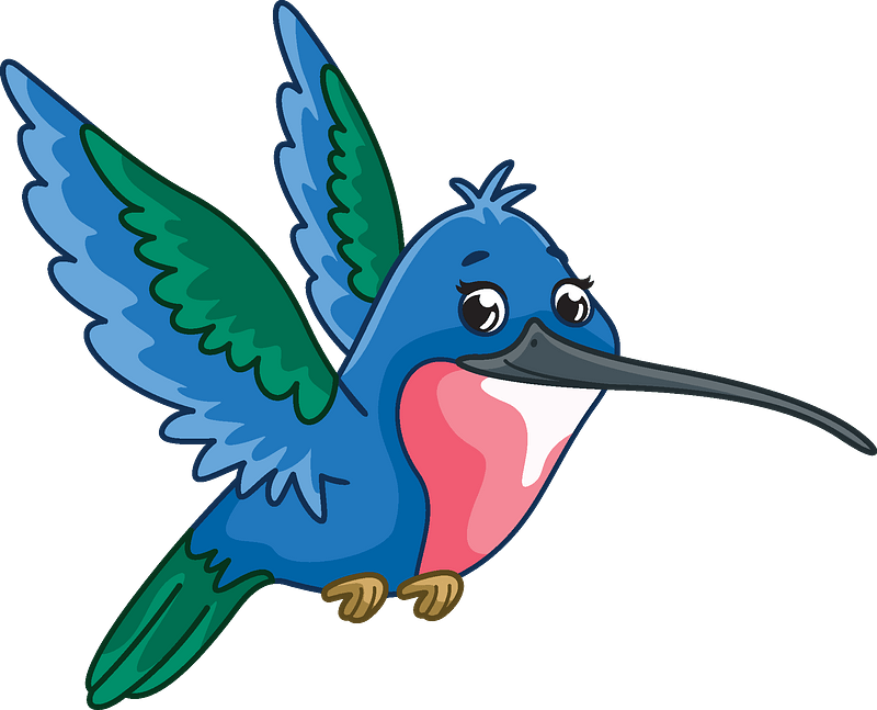 Colorful Cartoon Hummingbird PNG