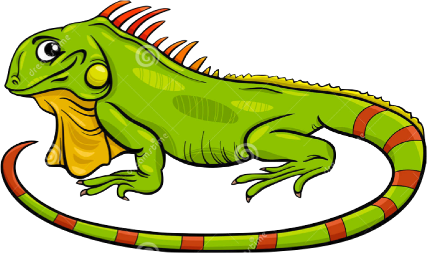 Colorful Cartoon Iguana PNG