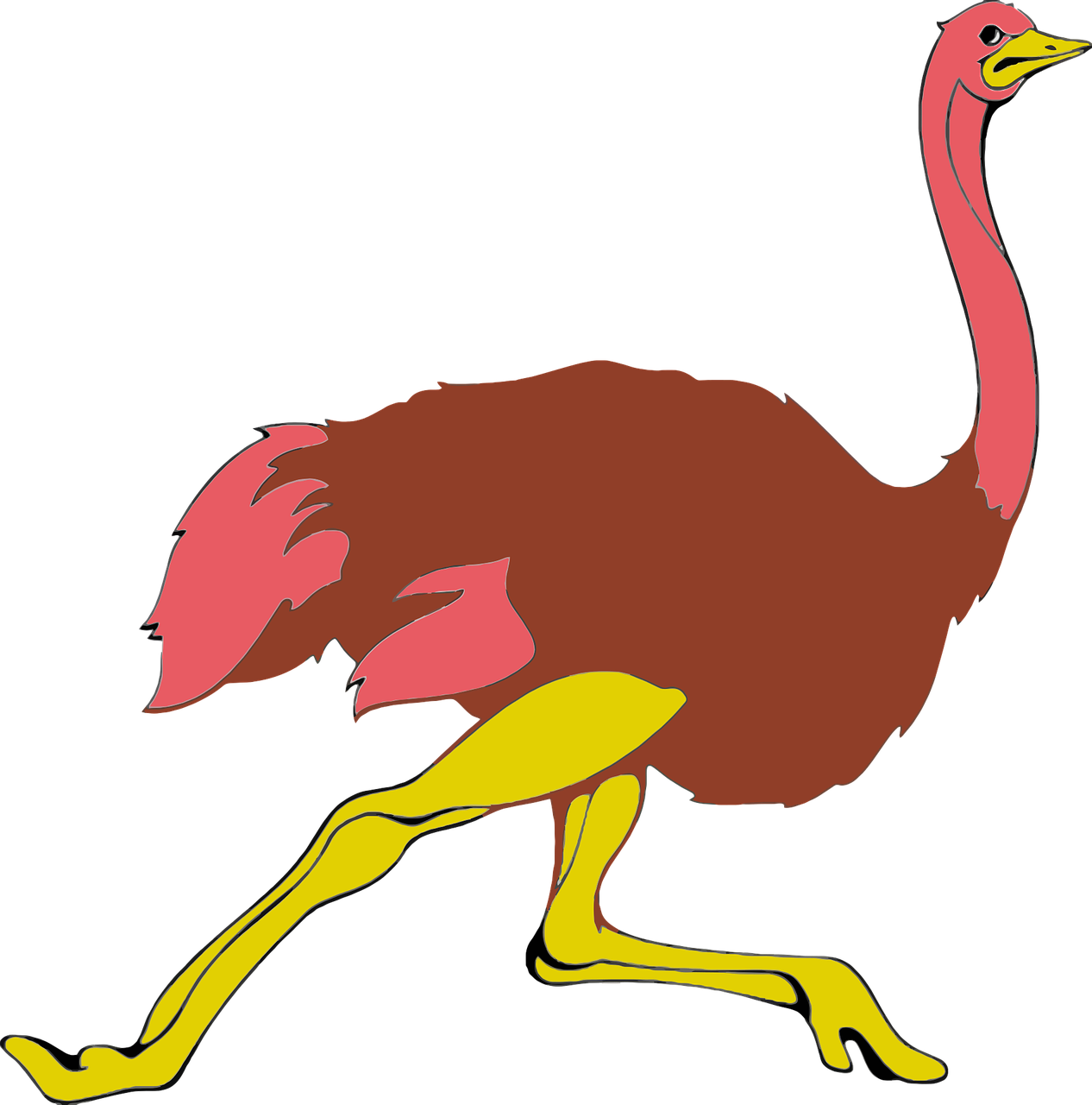 Colorful Cartoon Ostrich PNG